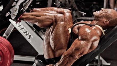 10 Top Übungen für das Beintraining - Gorilla Sports Schweiz