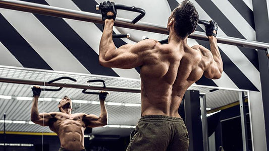 Ein breiter Rücken ist ein starker Rücken: Latissimus trainieren - Gorilla Sports Schweiz