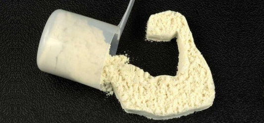 Whey vs. Casein – das musst du wissen - Gorilla Sports Schweiz