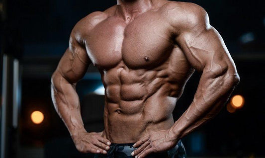 Dein persönlicher Ernährungsplan für einen gezielten Muskelaufbau - Gorilla Sports Schweiz