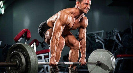 Das Push-Pull Training zum Muskelaufbau - Gorilla Sports Schweiz