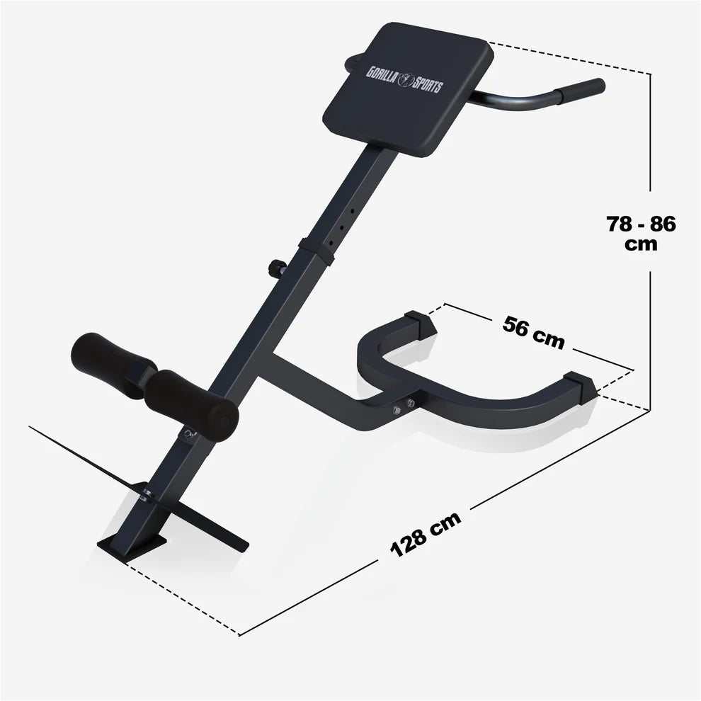 Hyperextension Rückenstrecker 45°