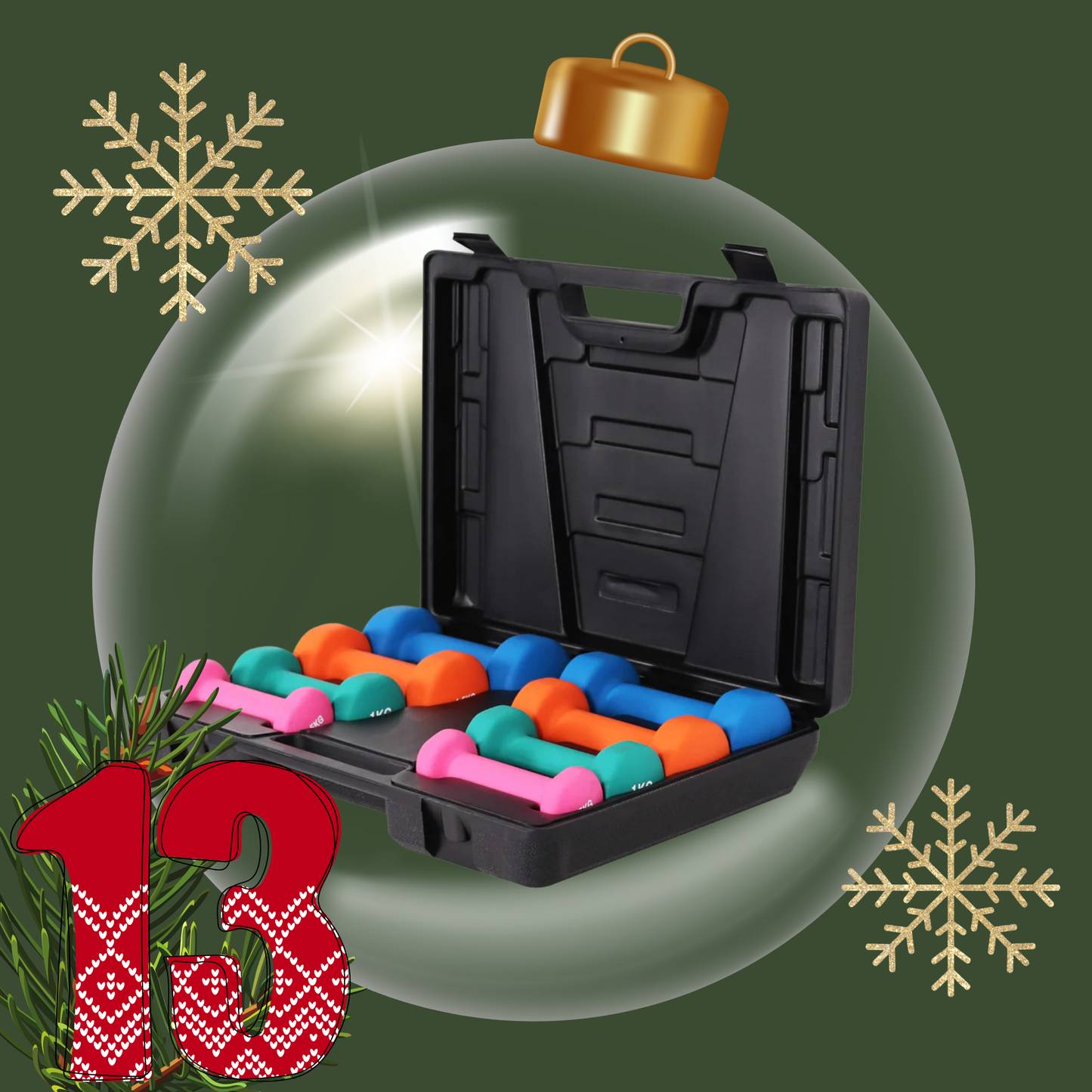 Gymnastikhantel-Set mit Koffer 10 kg