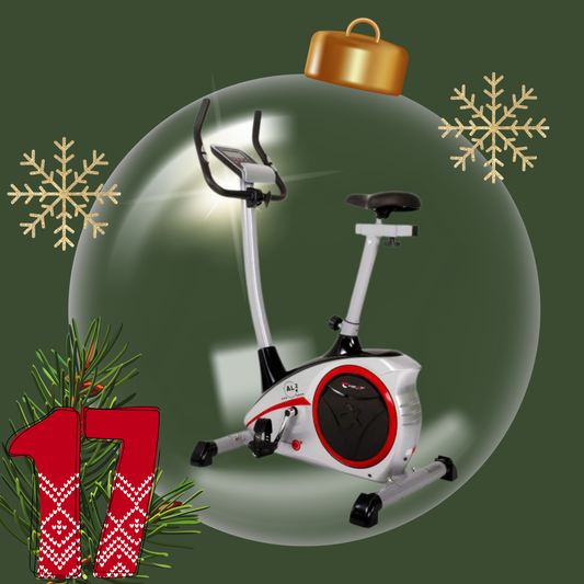 Hometrainer Ergometer AL 2 Silber