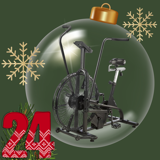 Assault Airbike Classic