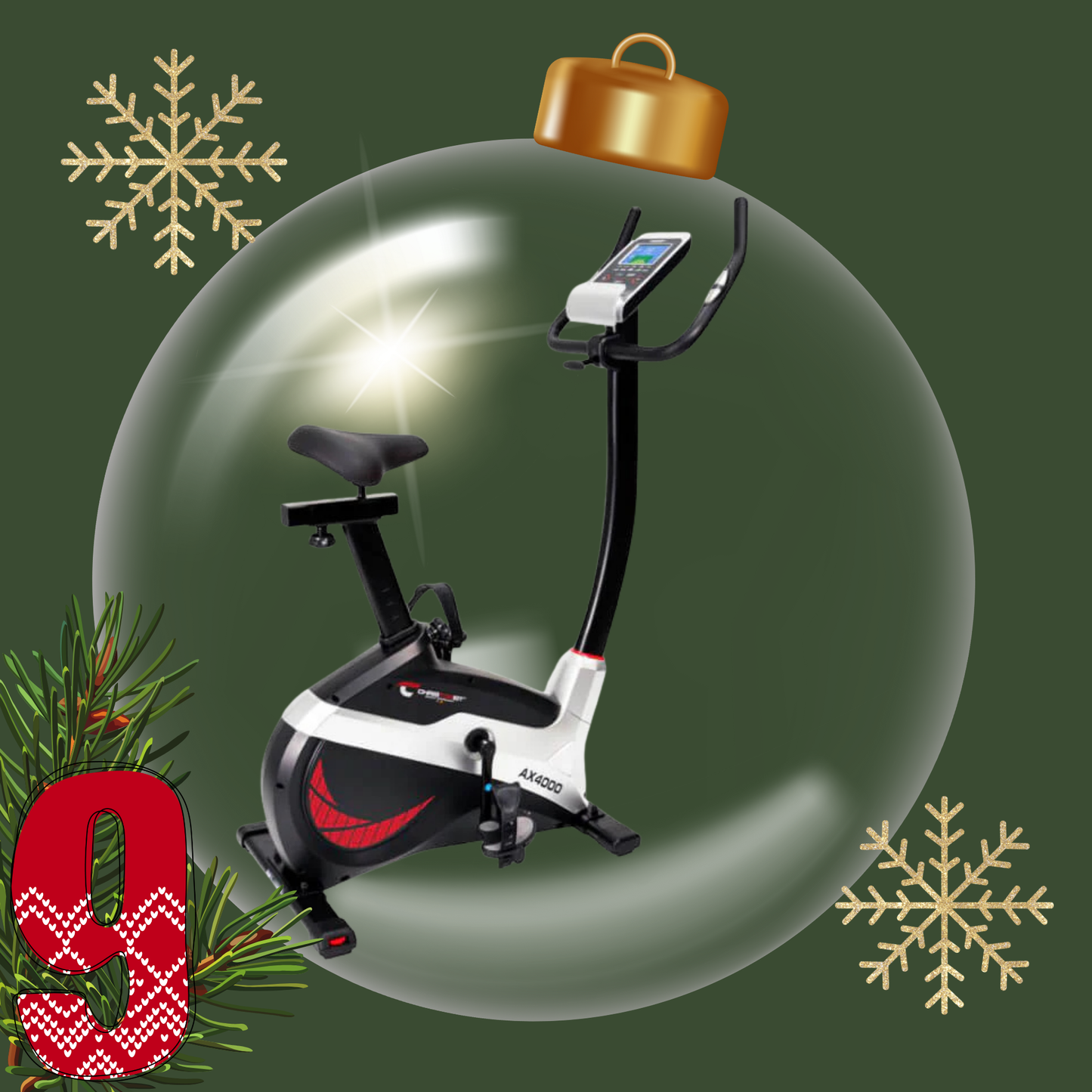 Heimtrainer Ergometer AX 4000