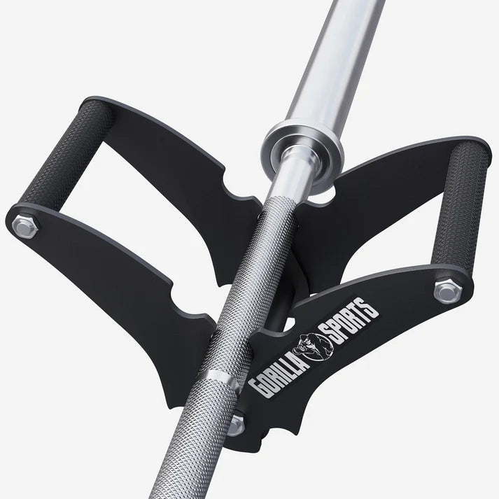 T-Bar Row Rudergriff 2in1