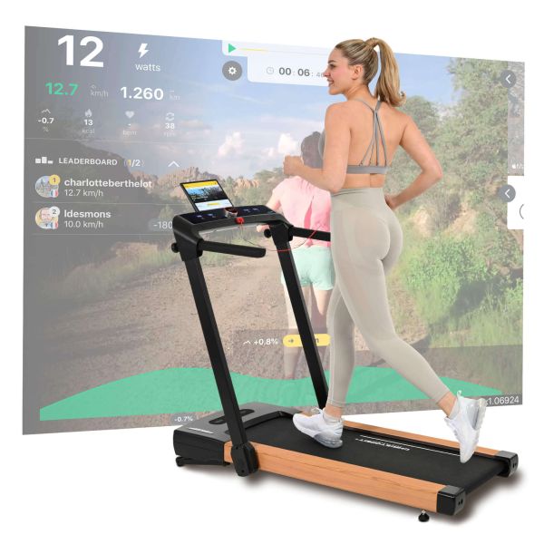 Treadmill 2 in 1 S