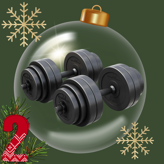 Kurzhantelset E-Series Kunststoff 30 kg