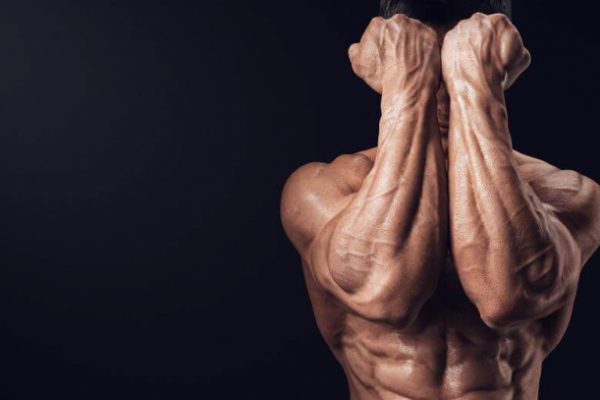 Das perfekte Training für muskulöse Unterarme