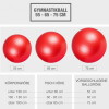 Gymnastikball Fitness Sitzball 65 cm Rot