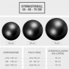 Gymnastikball Fitness Sitzball 75 cm Schwarz
