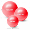 Mini Pilates Ball Rot 28 cm