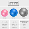 Gymnastikball Fitness Sitzball ⌀55 cm
